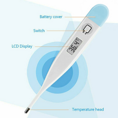 Digital LCD Thermometer